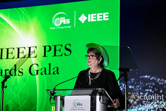 534 IEEE PES General Meeting 2025 Austin