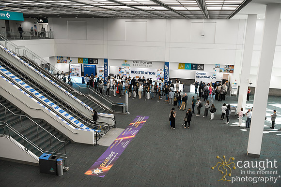042 AAE 2024 in Los Angeles - Registration & Signage