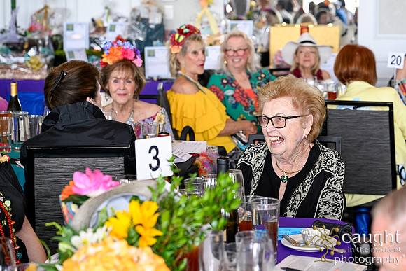 187 Steel Magnolias Copa Havana 2025