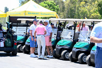 Golf Carts