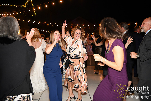 033 Brasche-Packman Wedding at Long Beach Museum of Art - Highlights