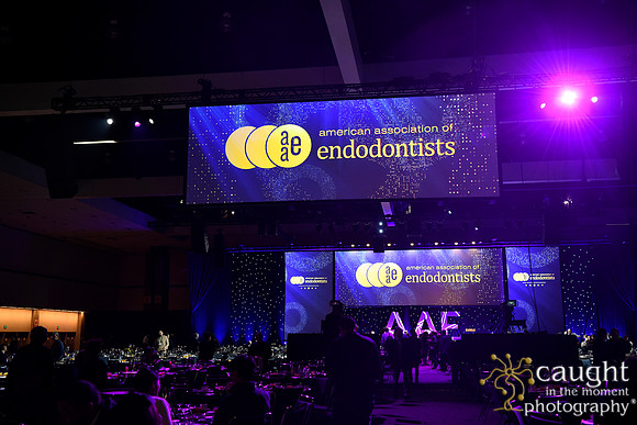 1697 AAE 2024 in Los Angeles - Coolidge Brunch
