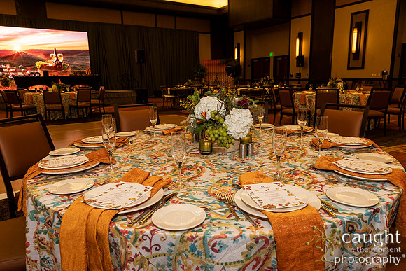 010 NPC Awards Gala 2026 Phoenix