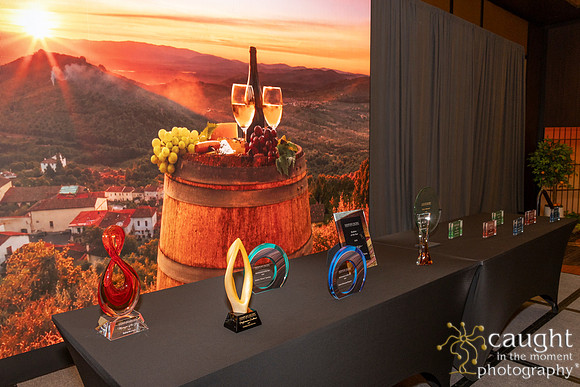 029 NPC Awards Gala 2026 Phoenix