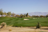 Desert Willow - Firecliff Course