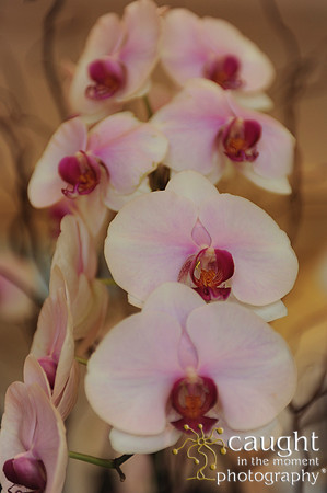 048