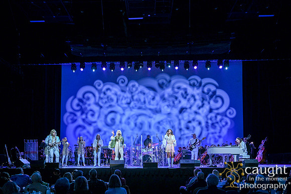 085 POPSpromoImagery