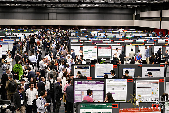 238 IEEE PES General Meeting 2026 Montreal