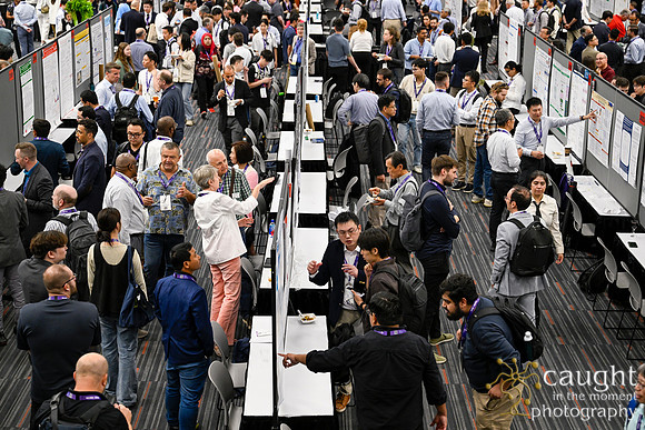 239 IEEE PES General Meeting 2026 Montreal