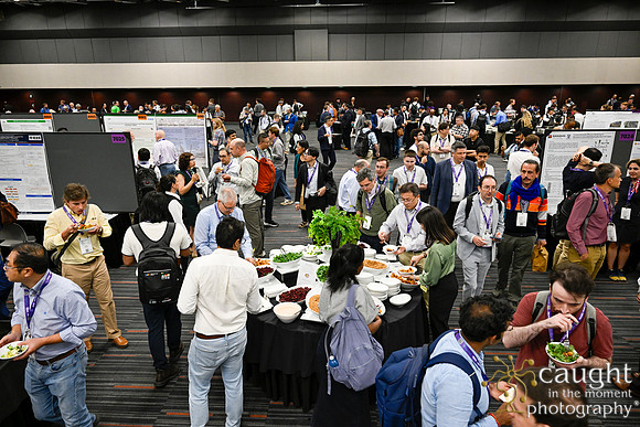 246 IEEE PES General Meeting 2026 Montreal
