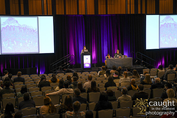 206 ACVP 2024 in Seattle