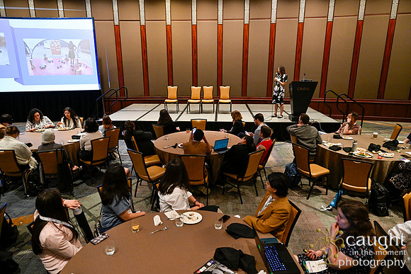 988 IEEE ICRA 2025 Atlanta