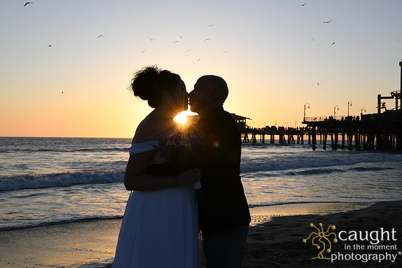 258 Martinelli Wedding at Santa Monica Pier