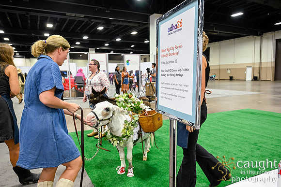 269 ADHA26 Annual Conference Fort Worth