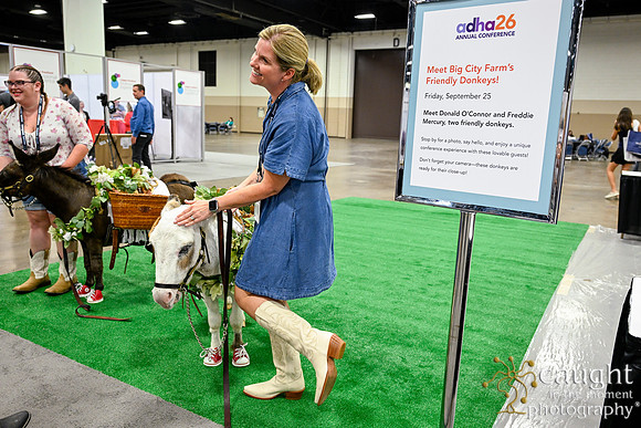 270 ADHA26 Annual Conference Fort Worth