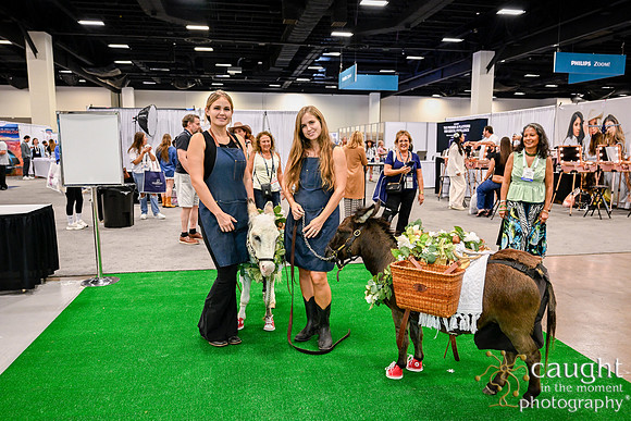 260 ADHA26 Annual Conference Fort Worth