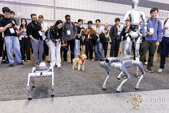 023 IEEE IROS 2026 Pittsburgh