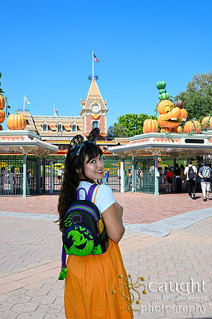 067 Pumpkin Bound