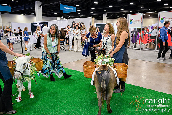 263 ADHA26 Annual Conference Fort Worth
