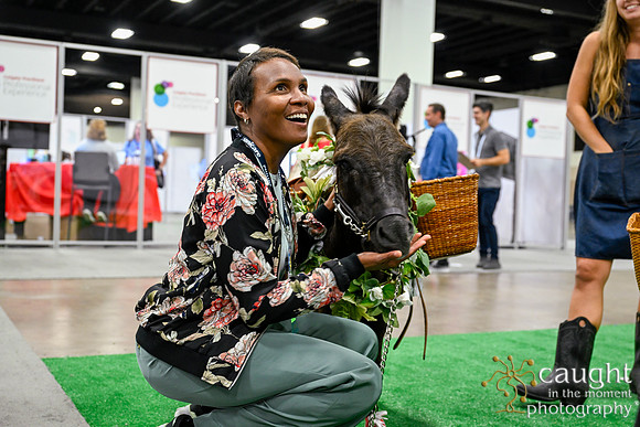 271 ADHA26 Annual Conference Fort Worth