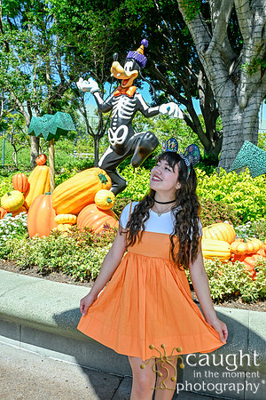 044 Pumpkin Bound