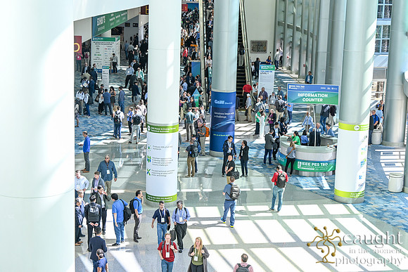 833 IEEE PES TandD Anaheim 2024