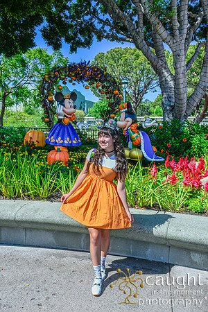 046 Pumpkin Bound