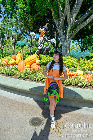 041 Pumpkin Bound