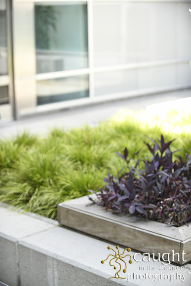 5052 Courtyard