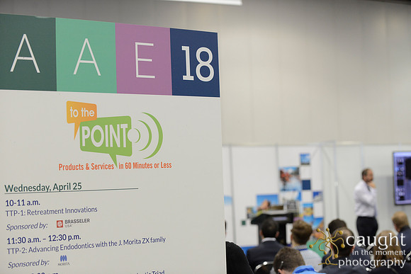 398 AAE 2018 in Denver-Corporate Workshops & Lectures
