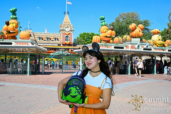 061 Pumpkin Bound