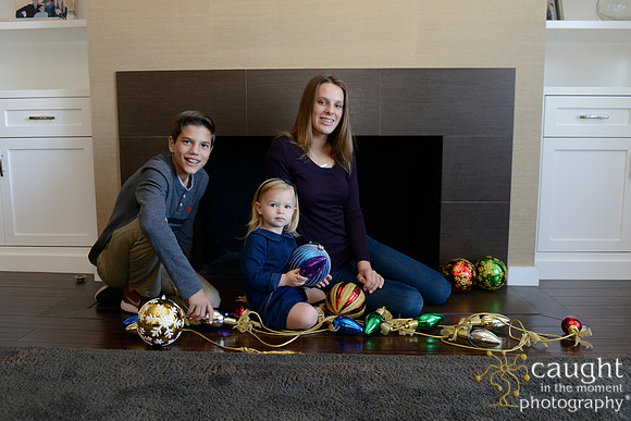 010 Sonnhalter Family Portraits
