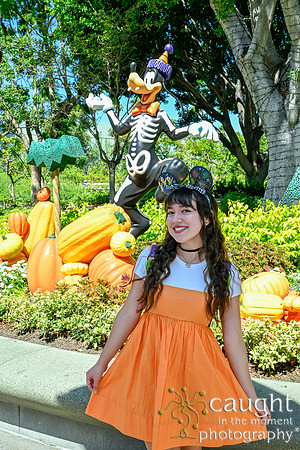 039 Pumpkin Bound