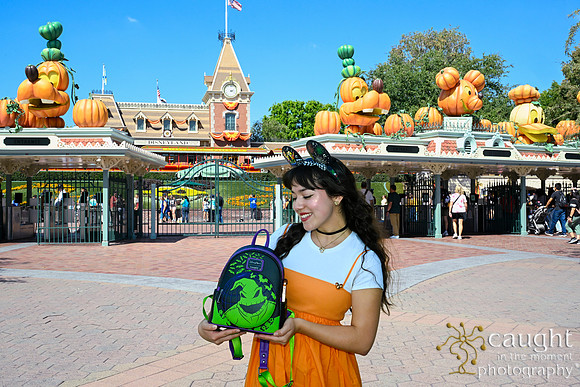 062 Pumpkin Bound