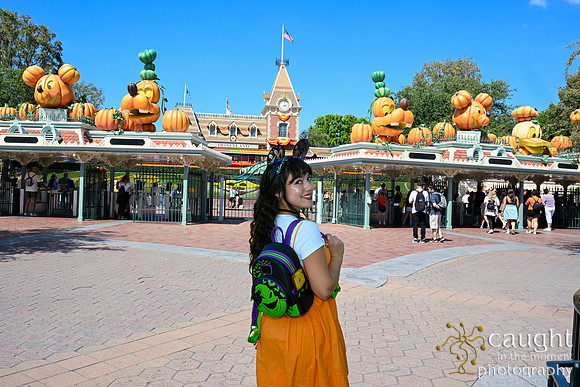 064 Pumpkin Bound