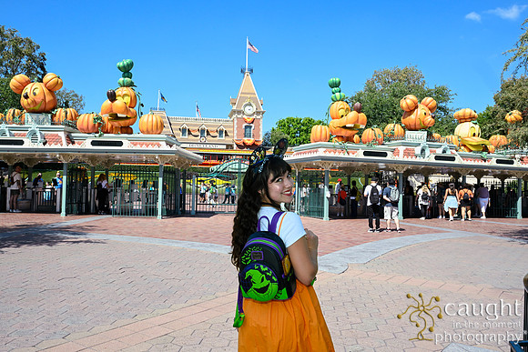 065 Pumpkin Bound