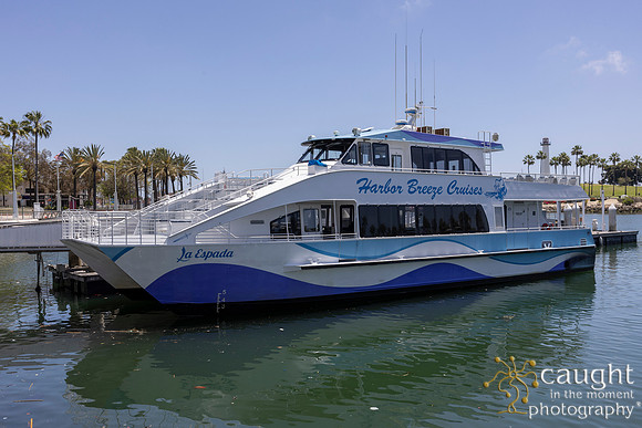 437 NAFTZ Spring Conference 2024 in Long Beach