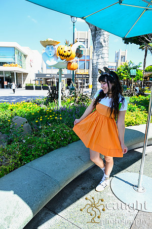 025 Pumpkin Bound