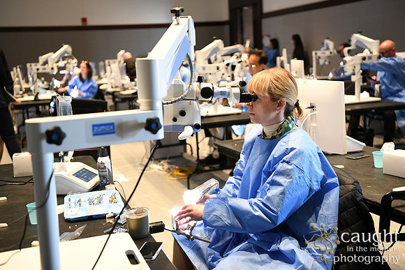 373 AAE 2025 in Boston - Hands-On Courses