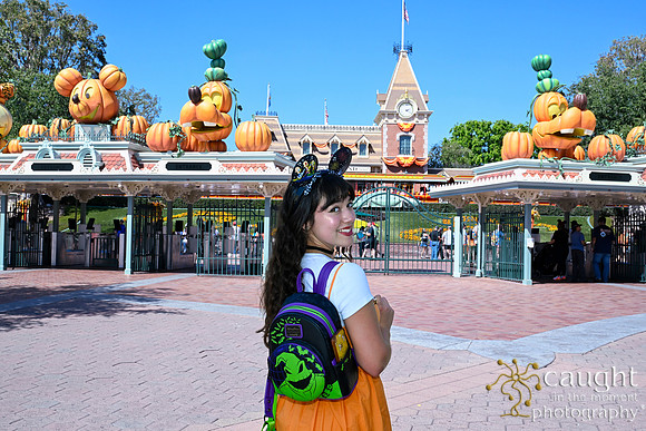 070 Pumpkin Bound