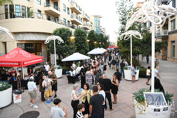048 State of the Arts 2026