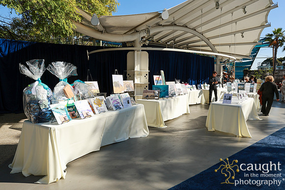 024 Aquarium of the Pacific Blue Whale Gala and After Party 2025
