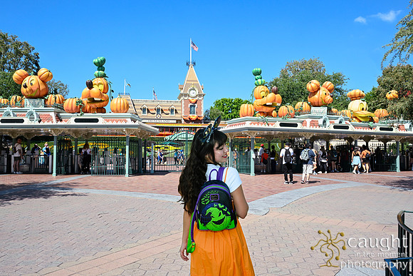 066 Pumpkin Bound