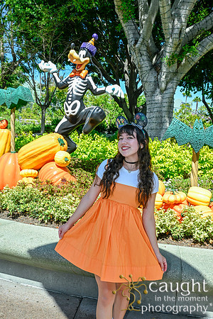 042 Pumpkin Bound