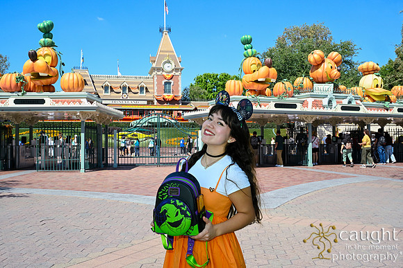 063 Pumpkin Bound