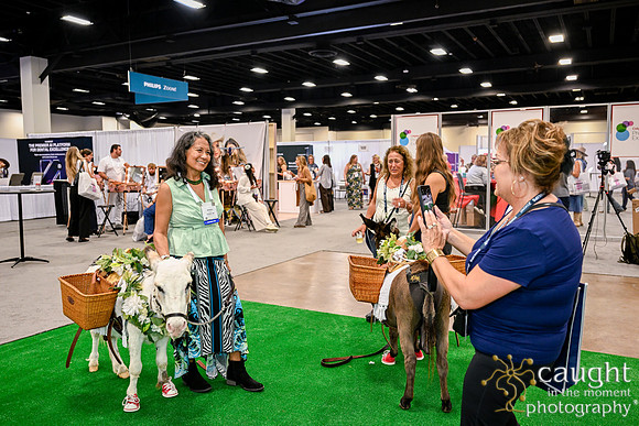 261 ADHA26 Annual Conference Fort Worth