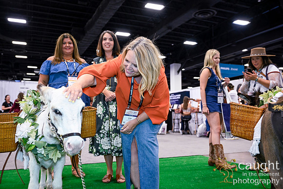 265 ADHA26 Annual Conference Fort Worth