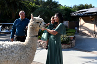 473 Chompff Wedding at Los Willows