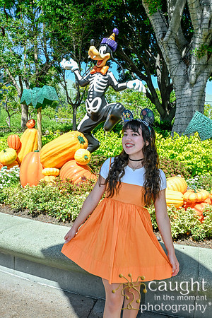 043 Pumpkin Bound