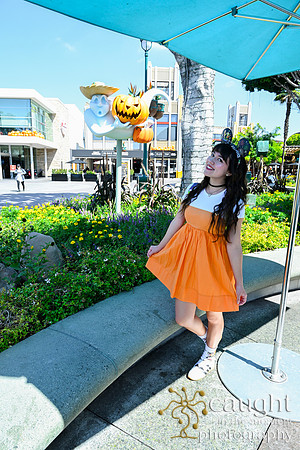 026 Pumpkin Bound